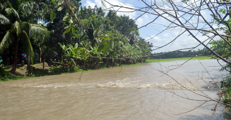 জোয়ারের পানিতে গলাচিপার ৬ গ্রাম প্লাবিত