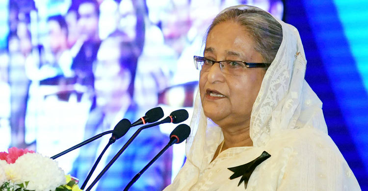 ‘পত্রিকায় অযাচিত লেখালেখিতে প্রকল্প বাস্তবায়নে বিলম্ব হয়’
