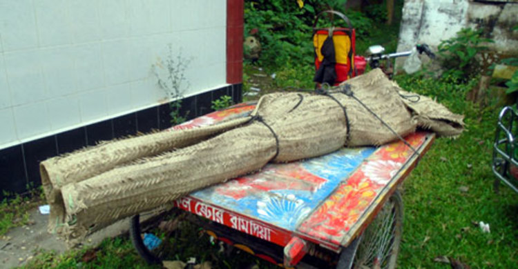 রাজবাড়ীতে গৃহবধূকে গলাকেটে হত্যা