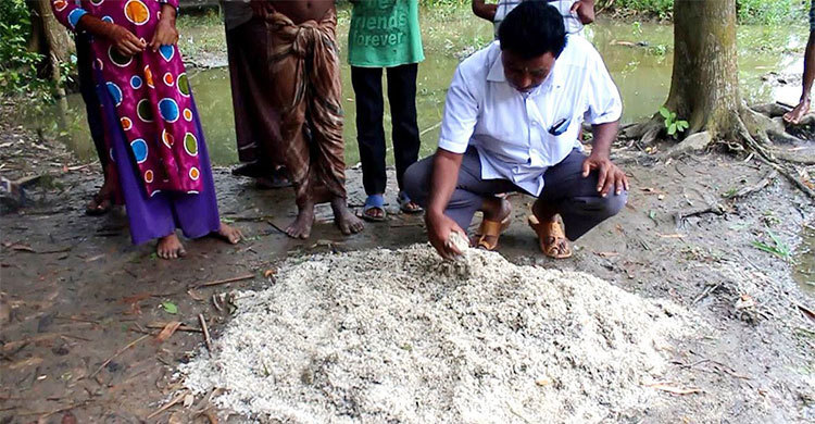 ভিজিএফ’র ২৬শ কেজি চাল পুকুরে ফেলার ঘটনায় মামলা, অডিও ফাঁস