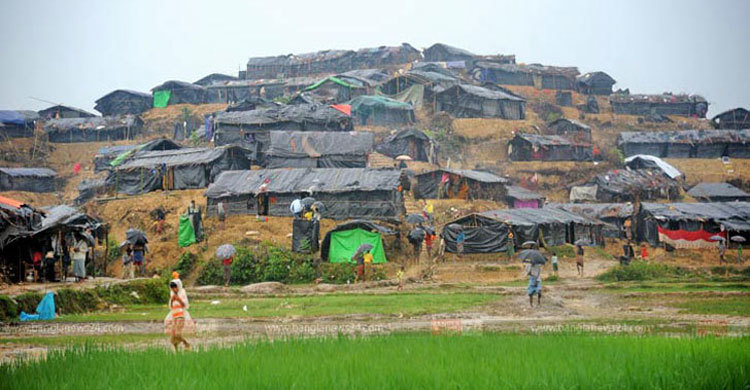 রোহিঙ্গা ক্যাম্পে গাছ চাপায় যুবকের মৃত্যু