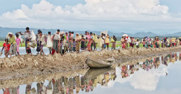 Key member resigns from Myanmar’s Rohingya crisis panel