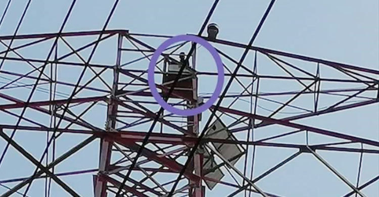 জামালপুরের শাকিলের কাণ্ড!