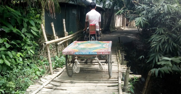 সড়কের মাঝে বাঁশের সাঁকো