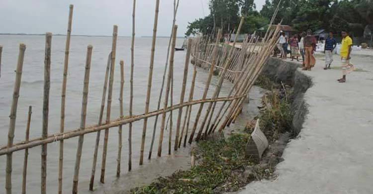 ভাঙন চিন্তায় ঘুম হারাম শাহজাদপুরবাসীর