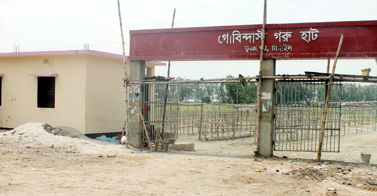 ভূঞাপুরে গরুর হাটে বেড়েছে রাজস্ব