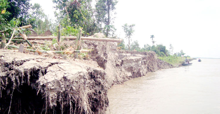 এক রাতে যমুনার পেটে শতাধিক ঘরবাড়ি