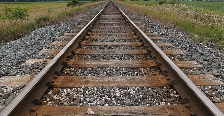 আদমদীঘিতে ট্রেনে কাটা পড়ে বৃদ্ধের মৃত্যু