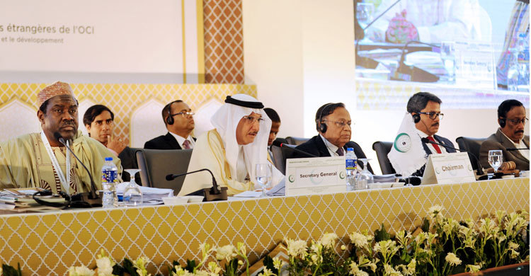 OIC-CFM forms ministerial body on Rohingya crisis
