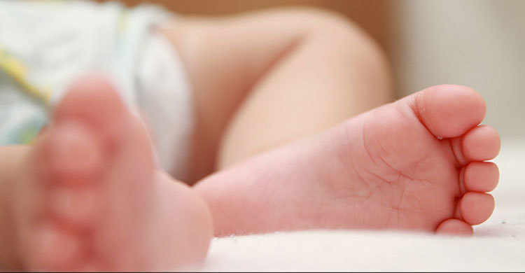 Monkey steals 16-day-old baby in India