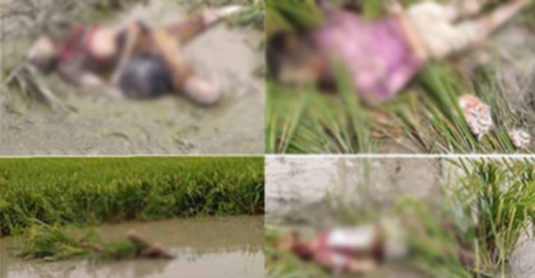 বগুড়ায় ফসলের মাঠে গলাকাটা ৪ মরদেহ