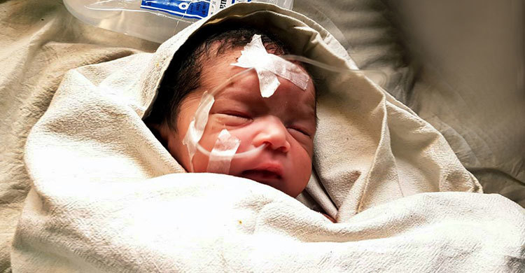 ডাস্টবিন থেকে মায়ের কোলে সেই নবজাতক