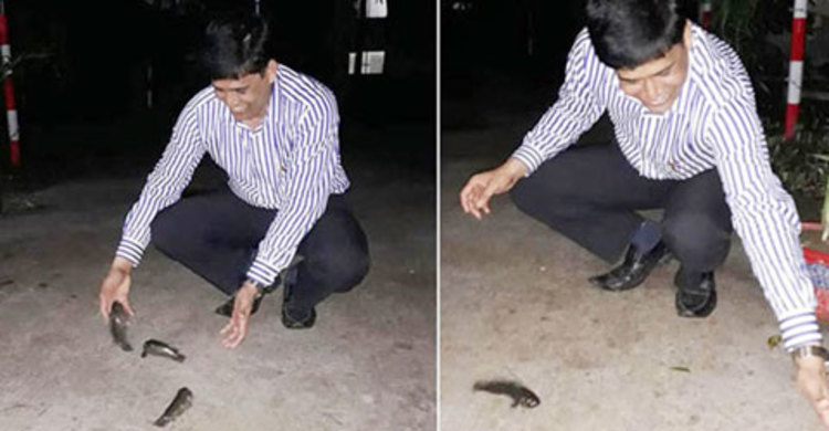 সড়কে দেখা মিললো মাছের
