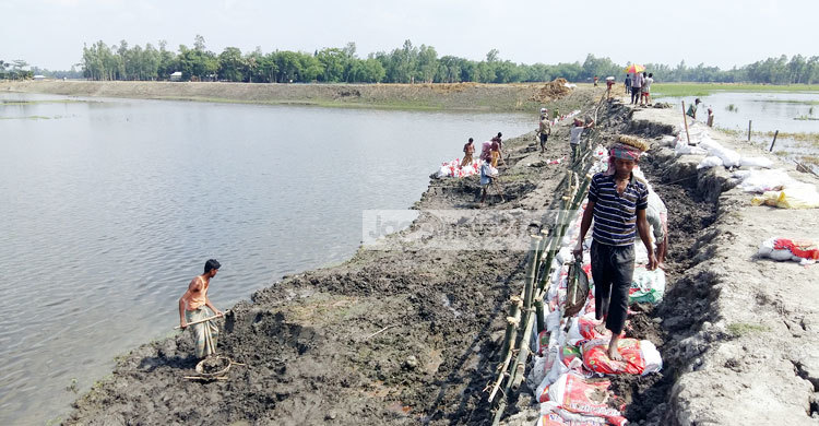 আদালতের আদেশ অমান্য করে বিলের পাড় নির্মাণ!