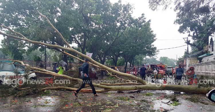 বেড়াতে গিয়ে কালবৈশাখী ঝড়ে স্কুলছাত্রী নিহত