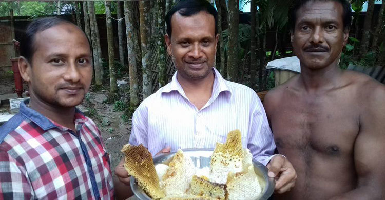 মধুচাষে স্বাবলম্বী মৌলভীবাজারের ৪ শতাধিক চাষি