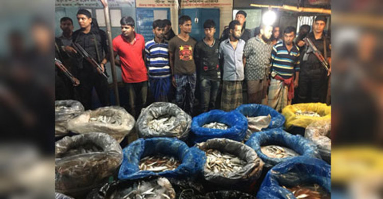 যাত্রাবাড়ীতে ৮ টন জাটকা জব্দ, এতিমখানায় বিতরণ