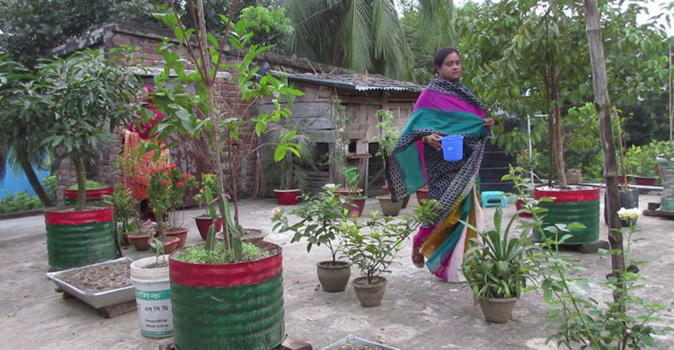জনপ্রিয় হয়ে উঠছে ছাদ বাগান