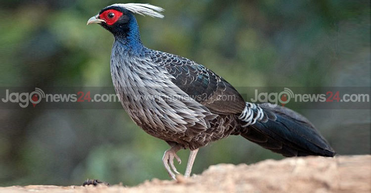 Sperma yuz va ogiz Seks keksa odam