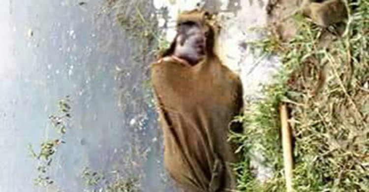 মরদেহের হাতের আঙটিতে খুলল জট