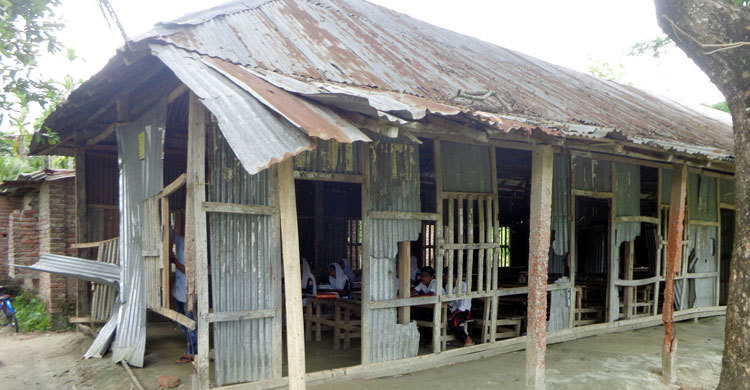 সাফল্য আছে, উন্নয়ন নেই