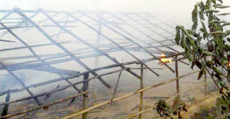 বান্দরবানে আগুনে পুড়ল আড়াই হাজার মুরগি