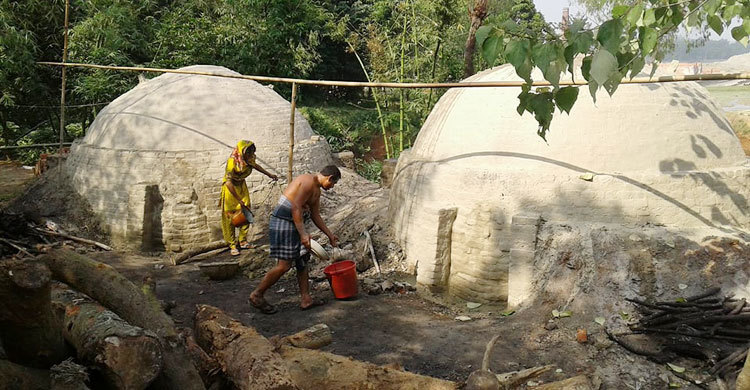 মির্জাপুরের বনাঞ্চলে ৩২ কয়লার কারখানা