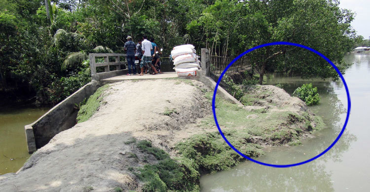 মোরেলগঞ্জে সরকারি খালে বাঁধ, পানি চলাচল বন্ধ