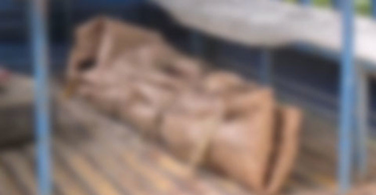 মায়ের প্রাণ কেড়ে নিলো ছেলে