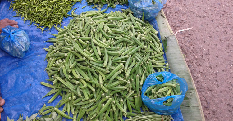 ঢেঁড়সের কেজি ৩ টাকা