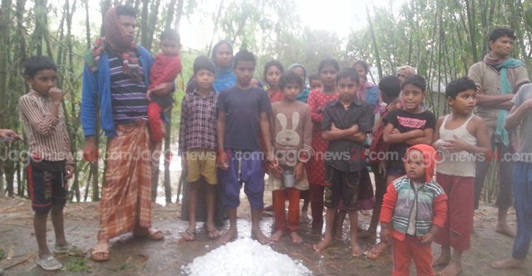 উত্তরাঞ্চলে শিলাবৃষ্টিতে ব্যাপক ক্ষতি