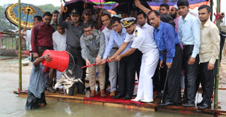 উৎপাদন বৃদ্ধিতে কাপ্তাই হ্রদে পোনা অবমুক্ত
