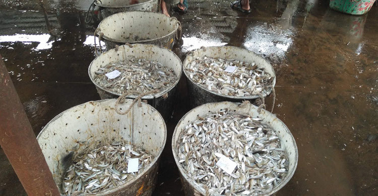 রাত থেকে কাপ্তাই হ্রদে মৎস্য আহরণে নিষেধাজ্ঞা