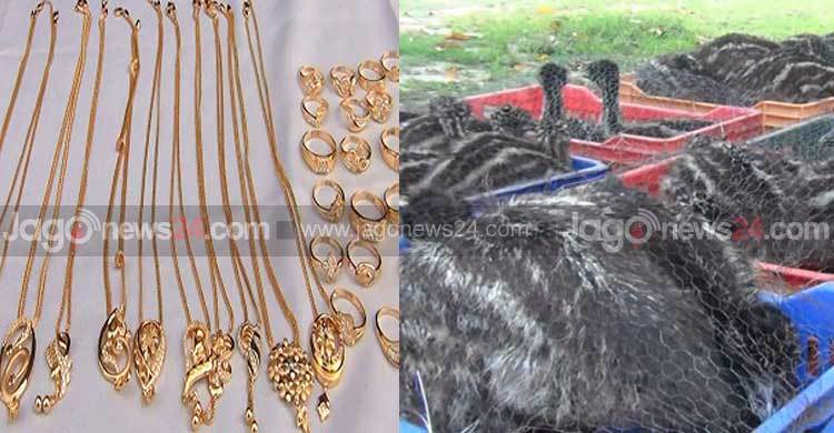 সাতক্ষীরায় স্বর্ণের গহনাসহ ৭৫টি উটপাখির বাচ্চা জব্দ