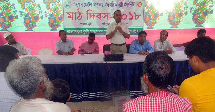 ভুট্টা চাষে তিনগুণ লাভ