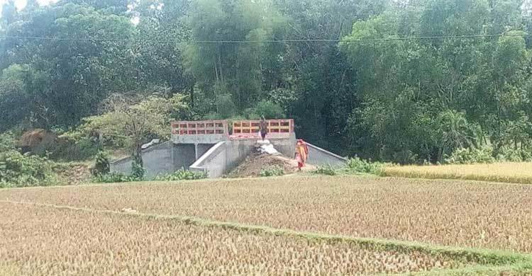 দু’পাশে রাস্তা নেই ২২ লাখ টাকার সেতুর