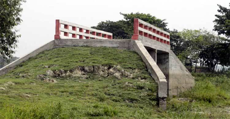 সেতুতে বাঁশের ব্যবহার নিয়ে চাঞ্চল্যকর তথ্য দিলেন শ্রমিক