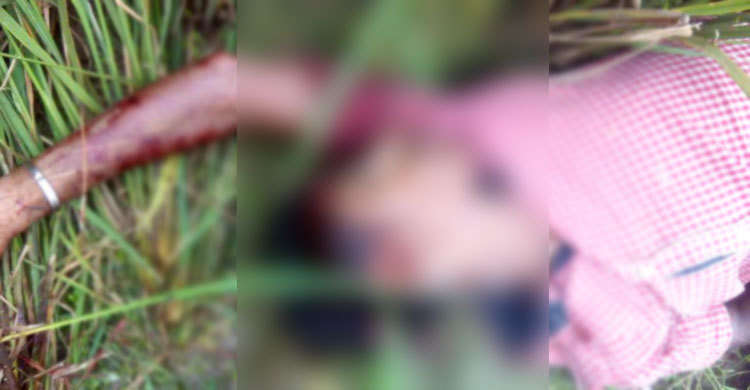 টাঙ্গাইলে কিশোরকে কুপিয়ে হত্যা