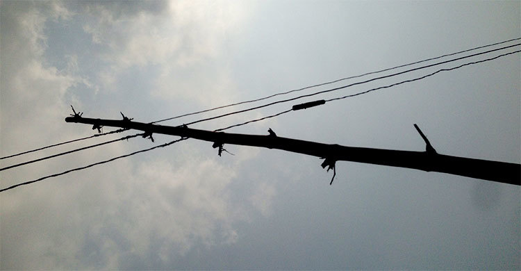 ঝড়ে ছিঁড়ে পড়া তারে বিদ্যুৎস্পৃষ্টে দুই শ্রমিকের মৃত্যু