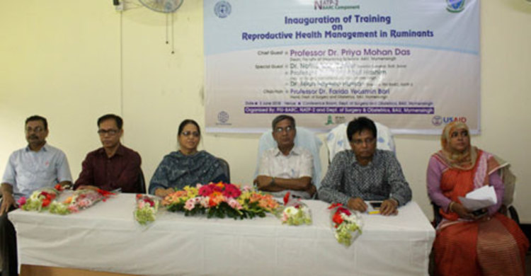 বাকৃবিতে গবাদিপশুর প্রজনন স্বাস্থ্য ব্যবস্থাপনায় প্রশিক্ষণ