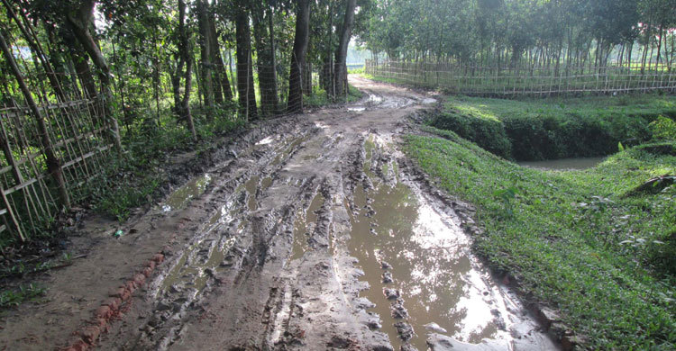 সড়কের ইট ইউপি সদস্যের বাড়িতে