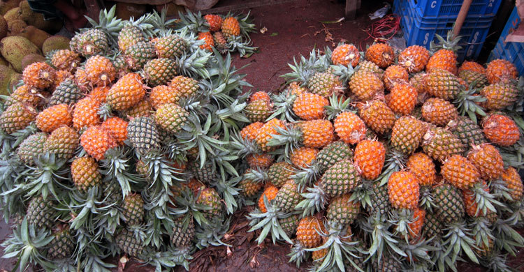 প্রতি পিস আনারস ৪ টাকা