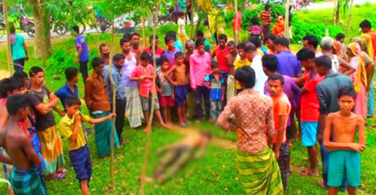 মহাসড়কের পাশে মাদকাসক্ত যুবকের মরদেহ