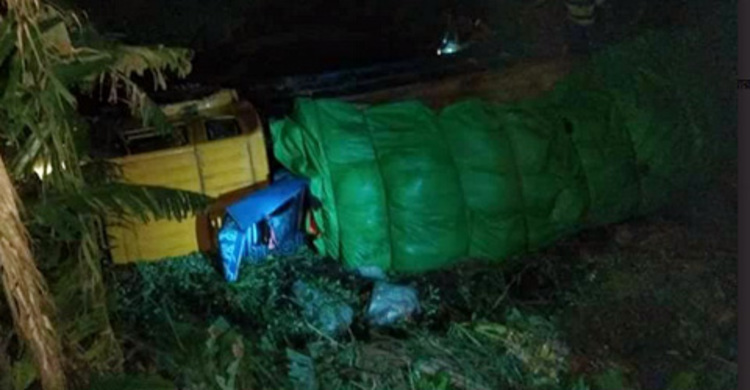 শরীয়তপু‌রে ট্রাক খা‌দে প‌ড়ে নিহত ৩