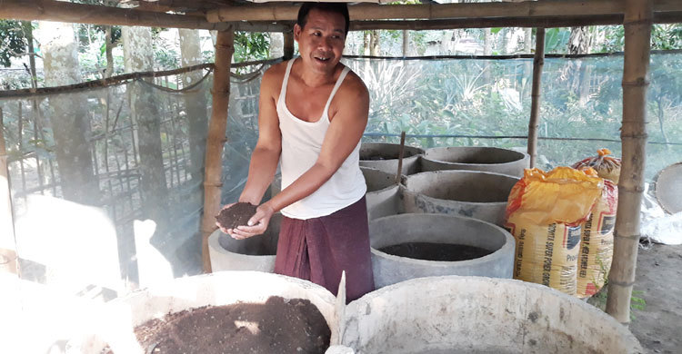 কেঁচো সারে বদলে গেছে পাইসুচিংয়ের ভাগ্য