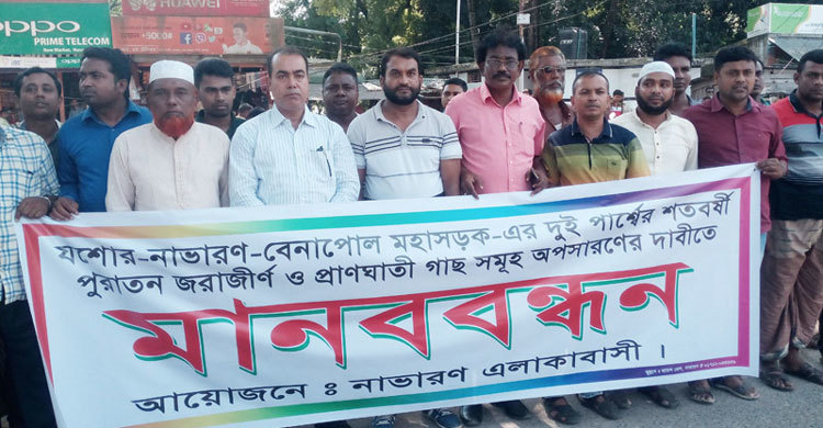 যশোর-বেনাপোল সড়ক থেকে পুরাতন রেইনট্রি গাছ অপসারণের দাবি