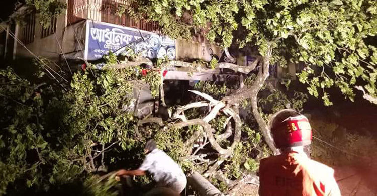 গাছচাপা থেকে বাঁচতে গিয়ে ট্রাকের নিচে