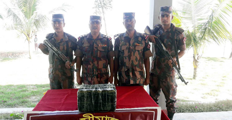 পানের বরজের ঝোপে মিলল এক লাখ ইয়াবা