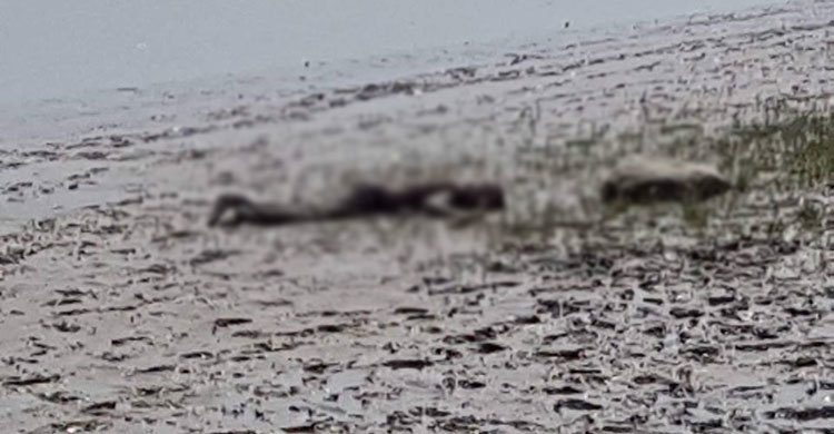 নাফ নদীর তীরে ২ যুবকের মরদেহ