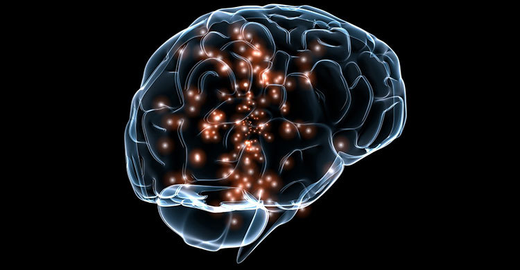 মস্তিষ্ক সচল রাখার ৯ উপায়